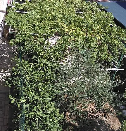 Cinzia Apartman